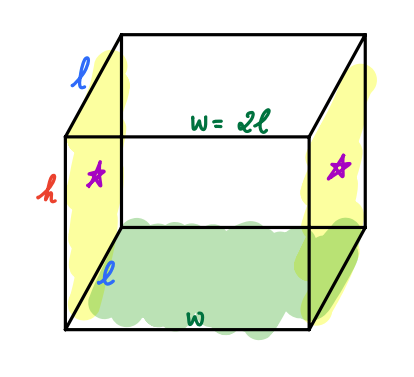 A rectangular box with no top. The width is twice the length. Dimensions labeled: length l, width w = 2l, height h.