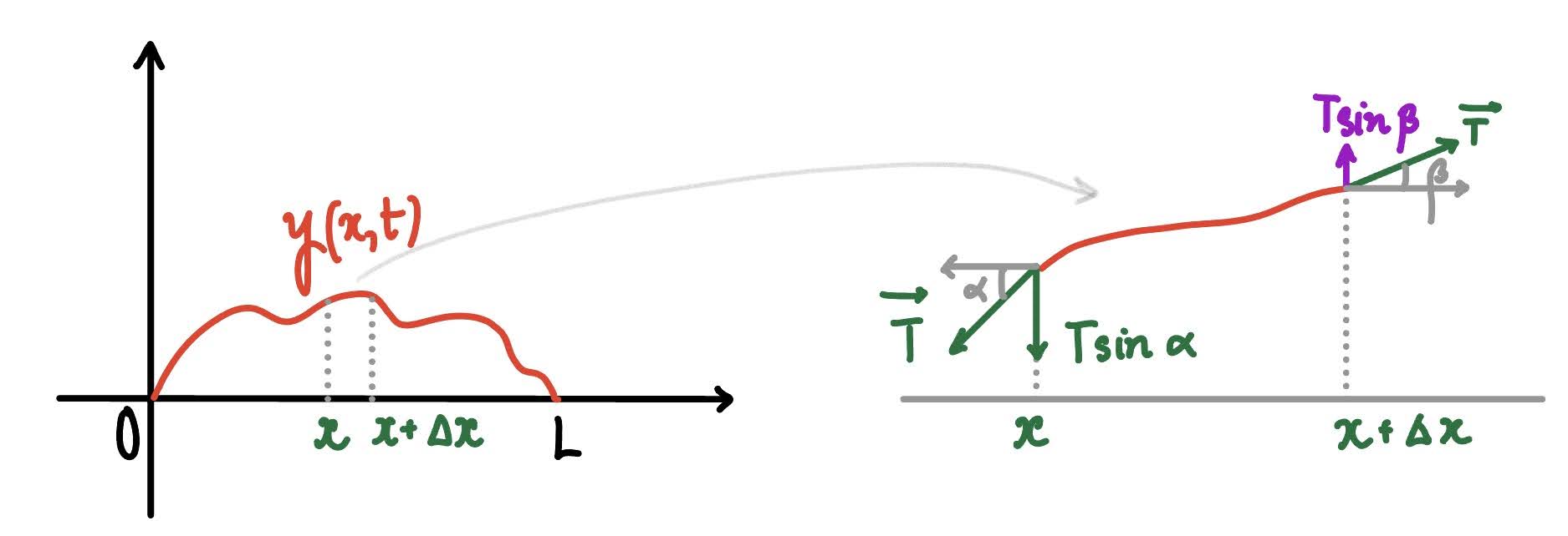 A vibrating string with a small segment showing tension forces and their vertical components.